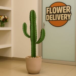 Cacto Candelabro