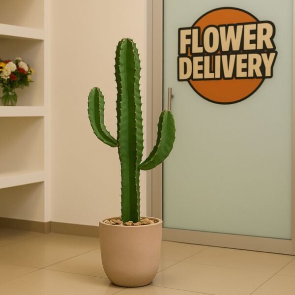 Cacto Candelabro